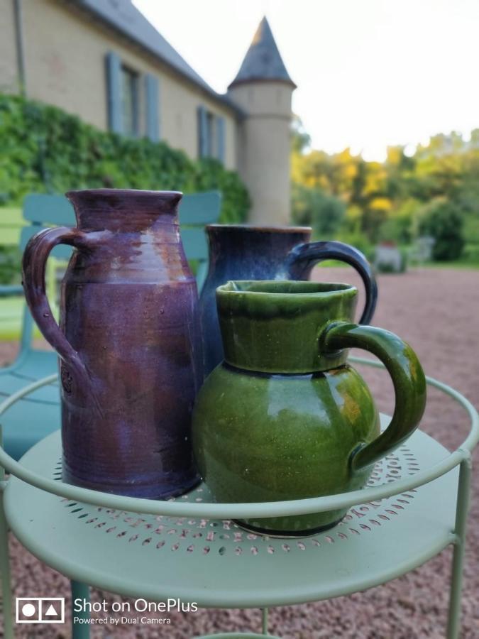 Chateau De Saint Etienne Bagian luar foto