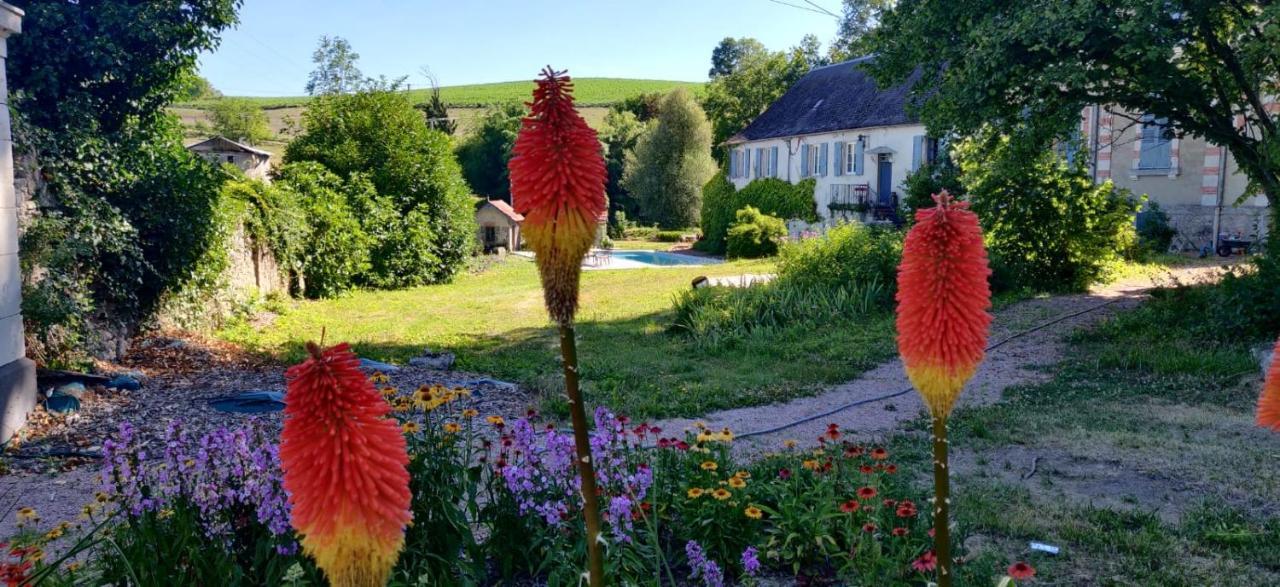 Chateau De Saint Etienne Bagian luar foto